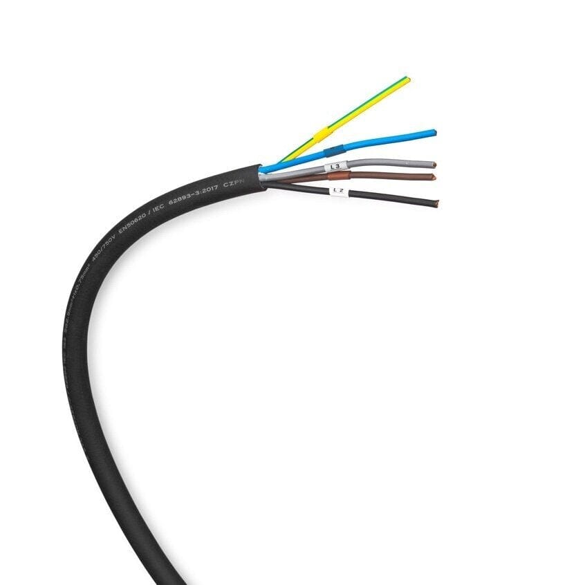 evchargershop Charging station Charging station BS20-BC-11kW with app, type 2 cable 5m long